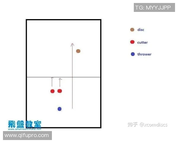 实时新闻深入分析上海飞盘队独特防守策略与战术执行的全景解读